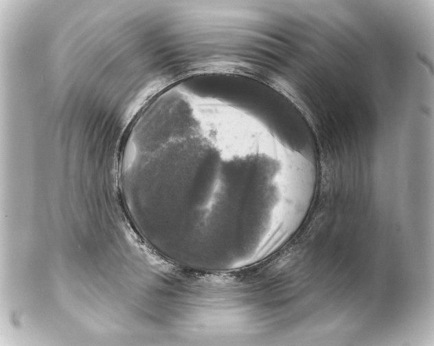 X0000101450994200808041014