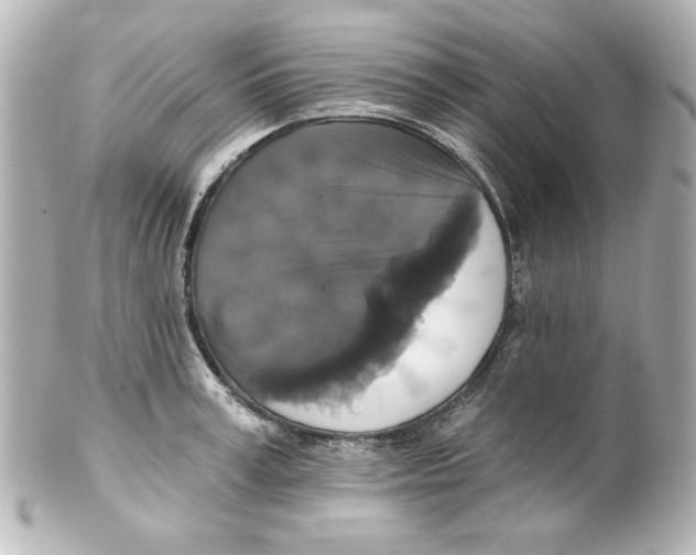 X0000101450995200808041014