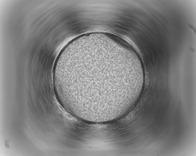 X0000101450996200808041014