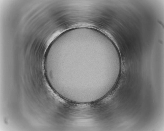 X0000101450997200808041014