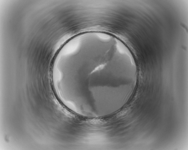 X0000101450998200808041014