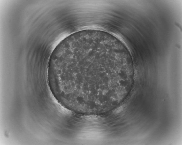 X0000101450999200808041014