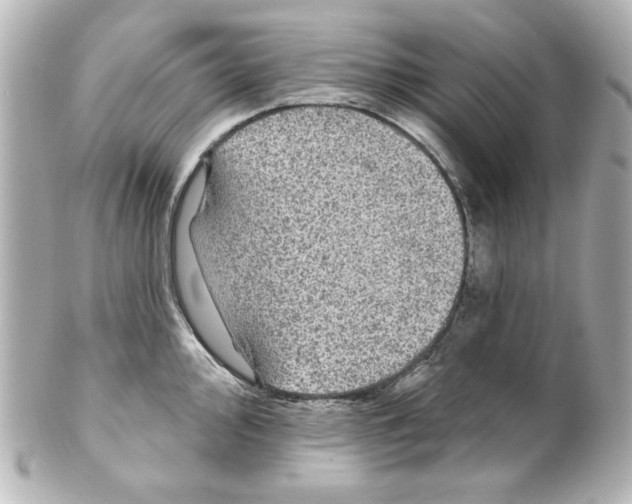 X0000101451000200808041014