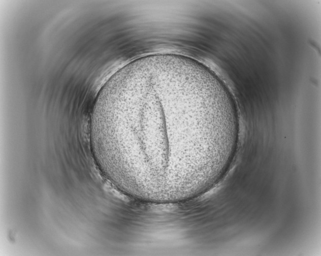 X0000101451001200808041014