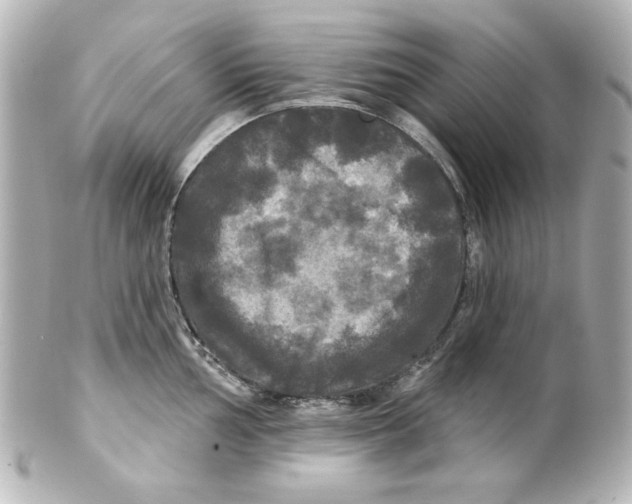 X0000101451002200808041014