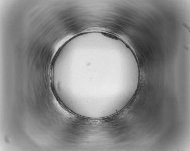 X0000101451003200808041014