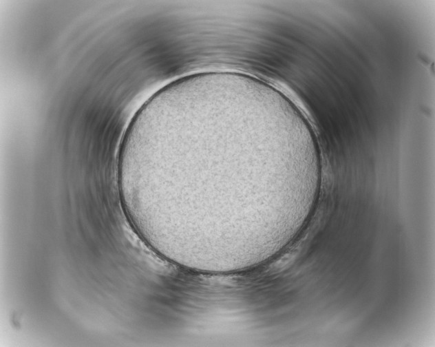 X0000101451004200808041014