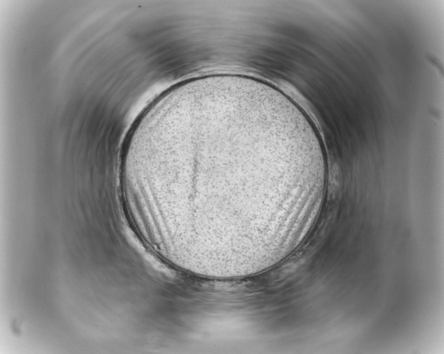 X0000101451005200808041014