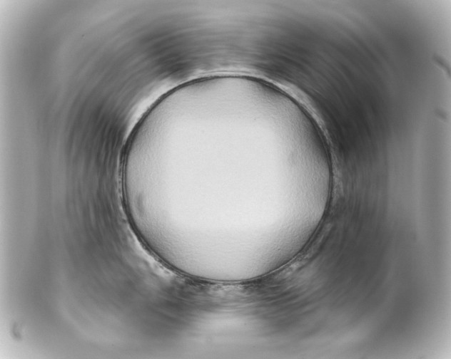 X0000101451006200808041014