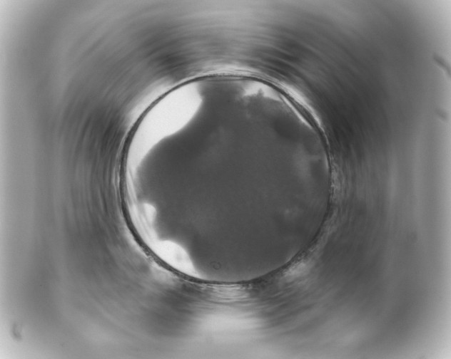 X0000101451007200808041014