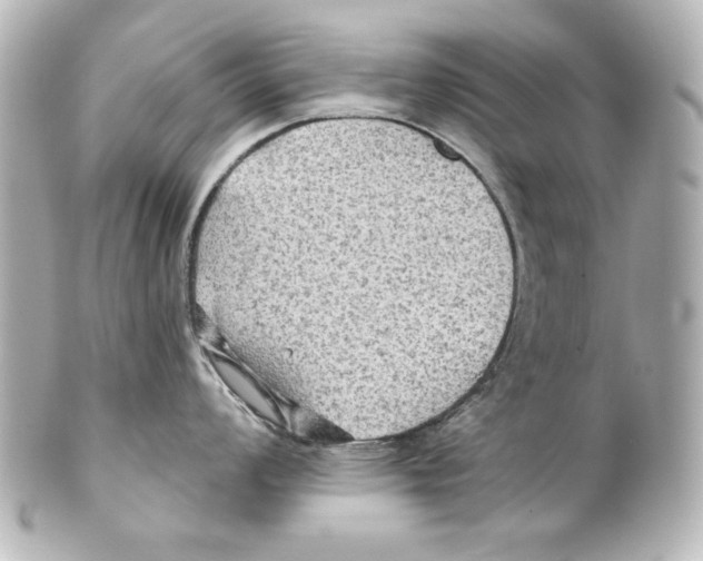 X0000101451008200808041014