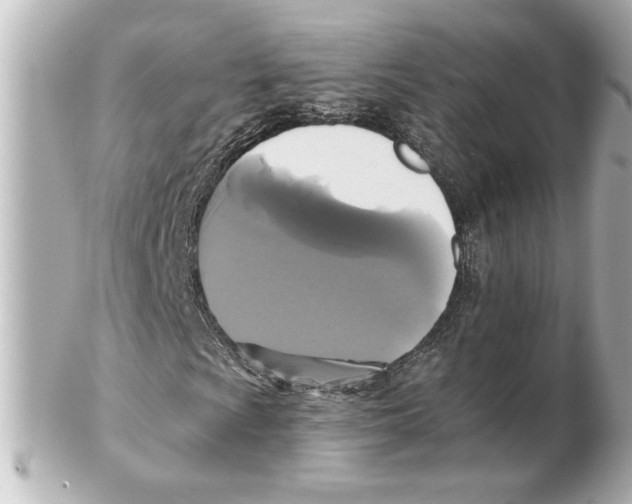 X0000101451009200808041013