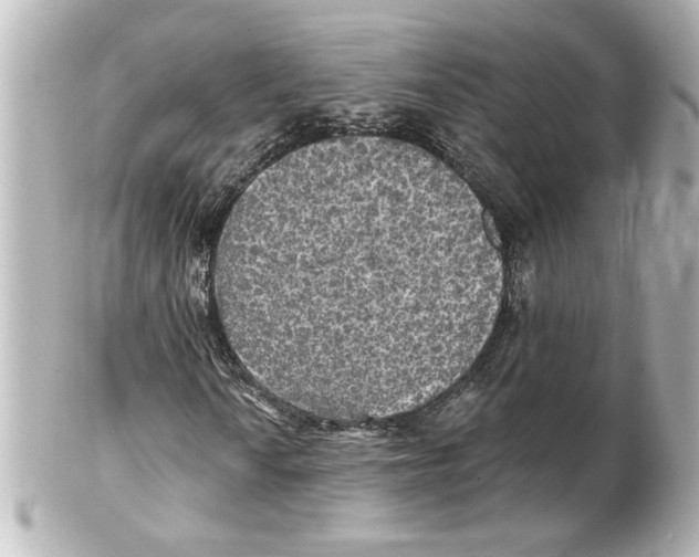 X0000101451010200808041013