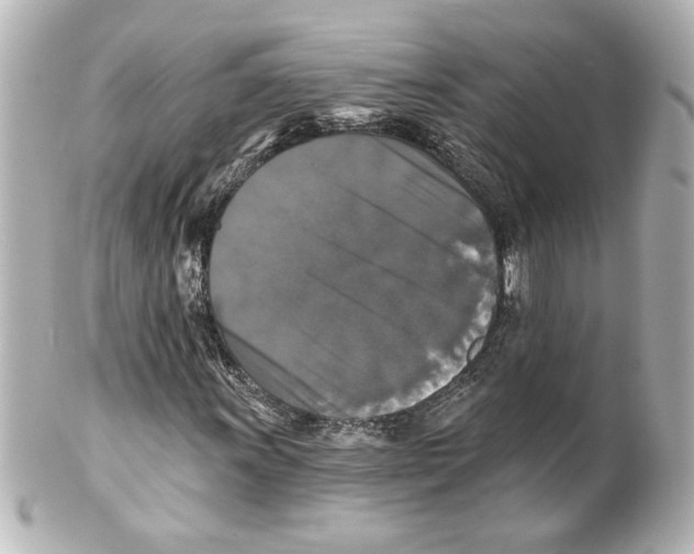 X0000101451011200808041013