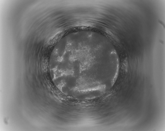 X0000101451014200808041013