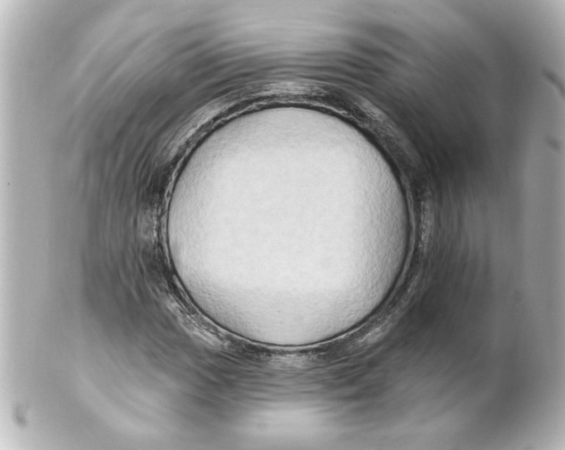 X0000101451017200808041014