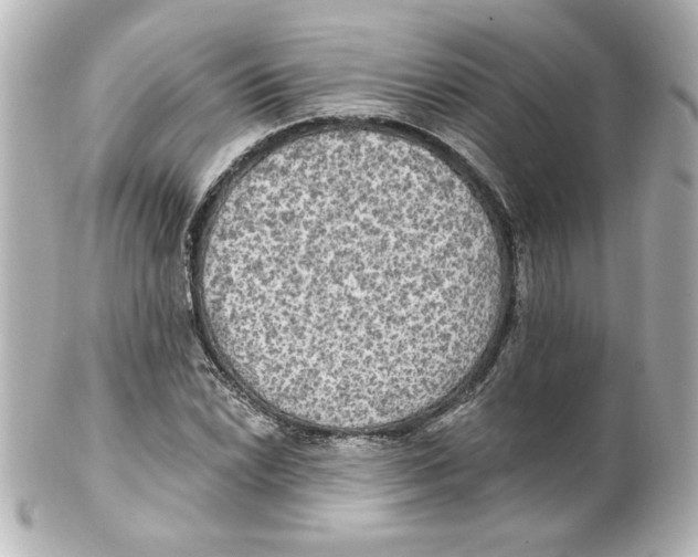 X0000101451022200808041014