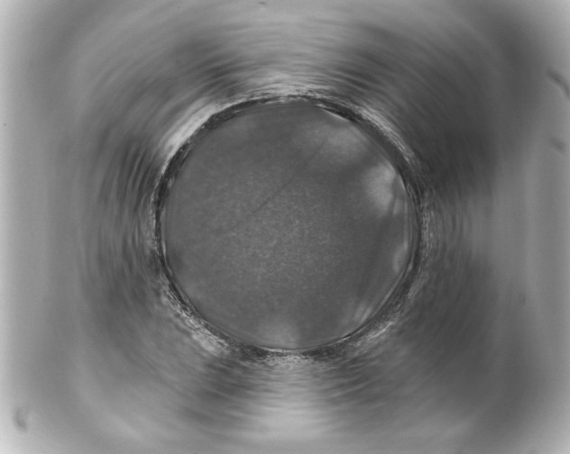 X0000101451023200808041014