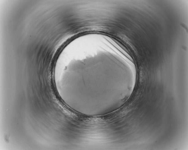 X0000101451024200808041014