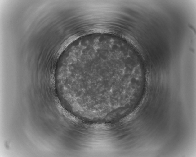 X0000101451025200808041014