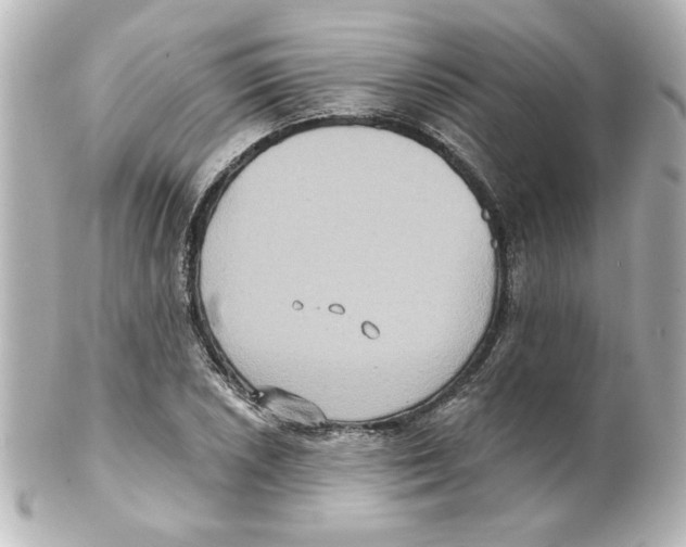 X0000101451026200808041014