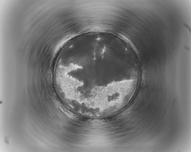 X0000101451027200808041014