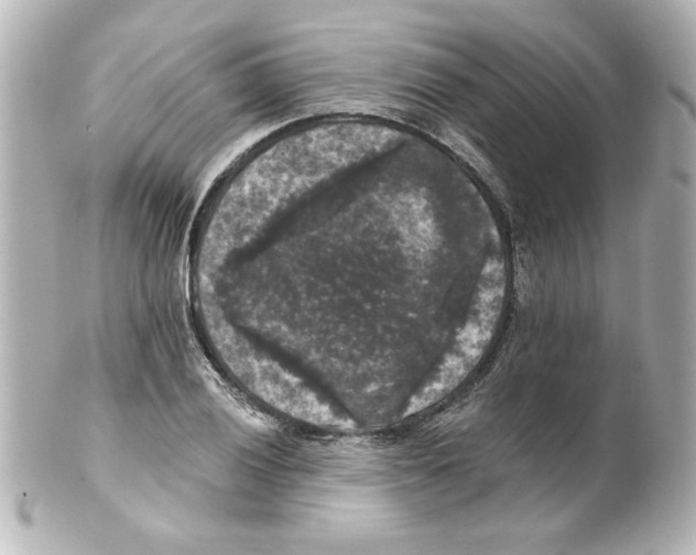 X0000101451028200808041014