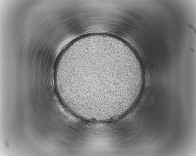 X0000101451030200808041014