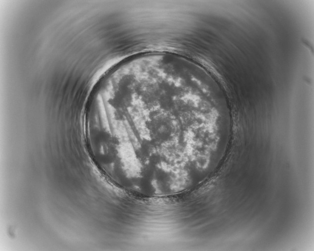 X0000101451032200808041014