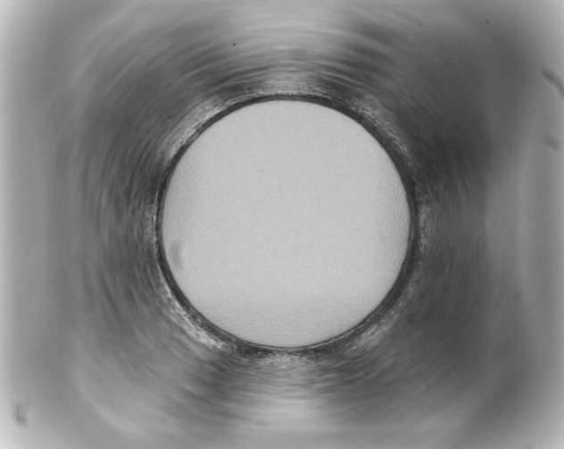 X0000101451033200808041014