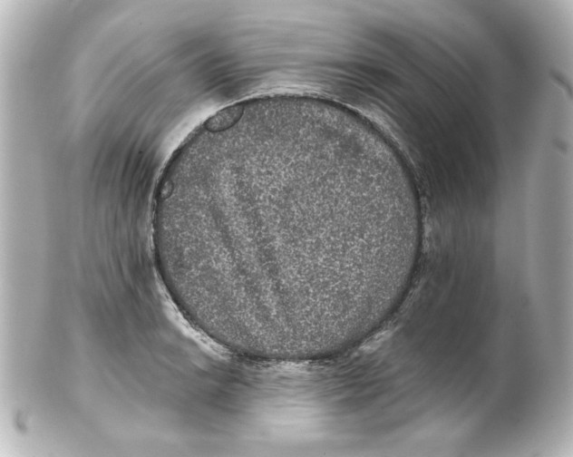 X0000101451038200808041014