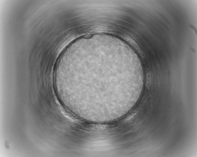 X0000101451039200808041014