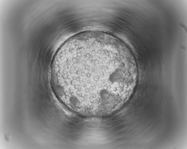 X0000101451040200808041014