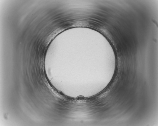 X0000101451041200808041014