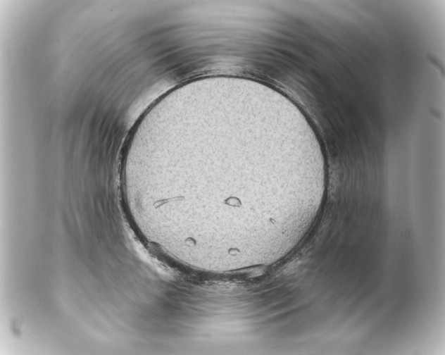 X0000101451042200808041014