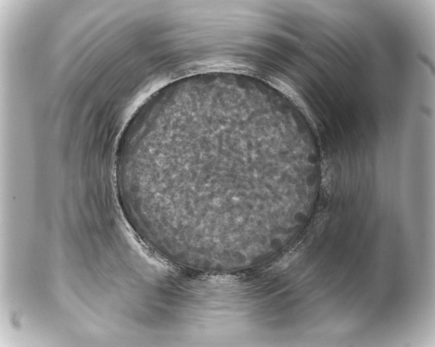 X0000101451043200808041014