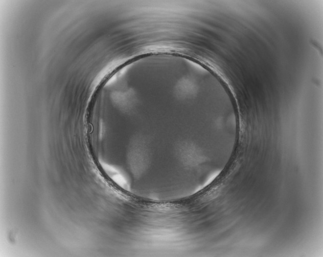 X0000101451045200808041014