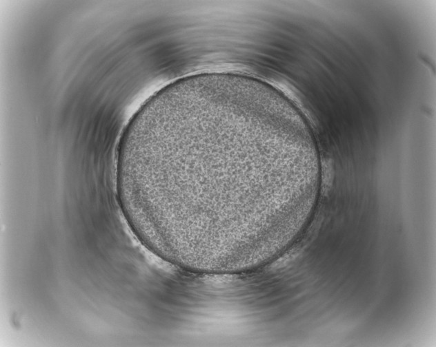 X0000101451046200808041014