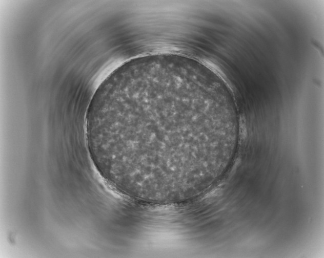 X0000101451047200808041014