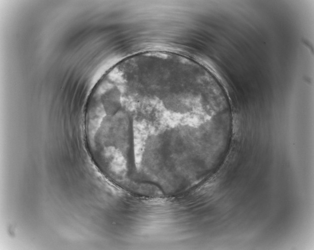 X0000101451048200808041014