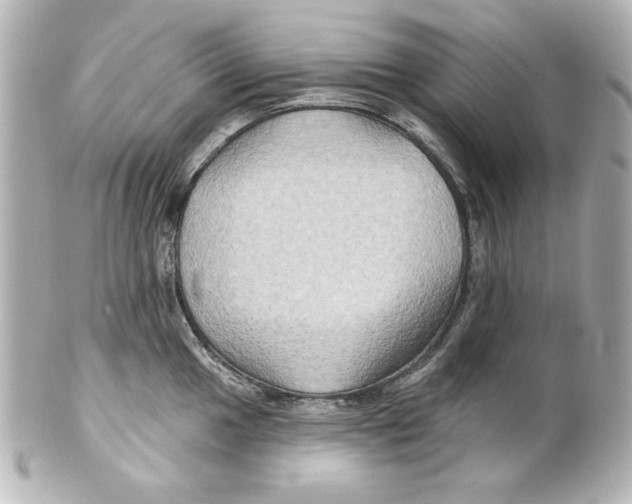 X0000101451049200808041014