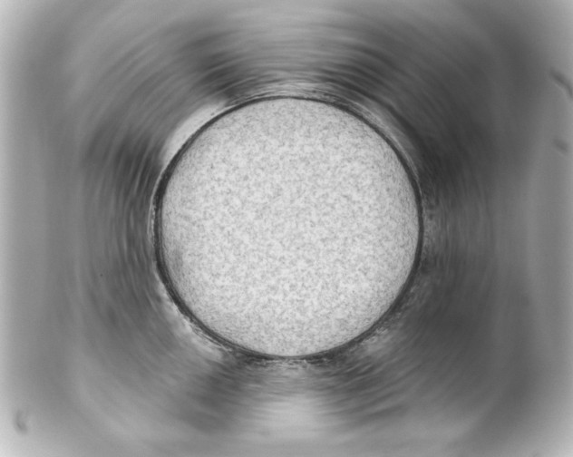 X0000101451050200808041014