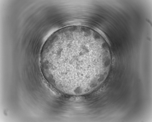 X0000101451051200808041014