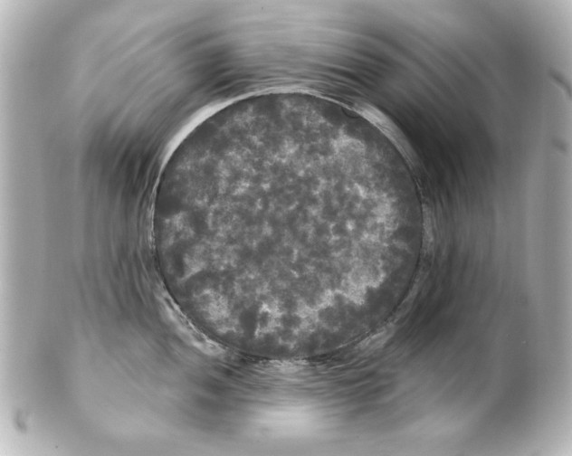 X0000101451052200808041014