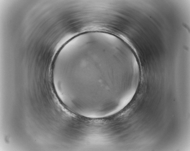 X0000101451053200808041014