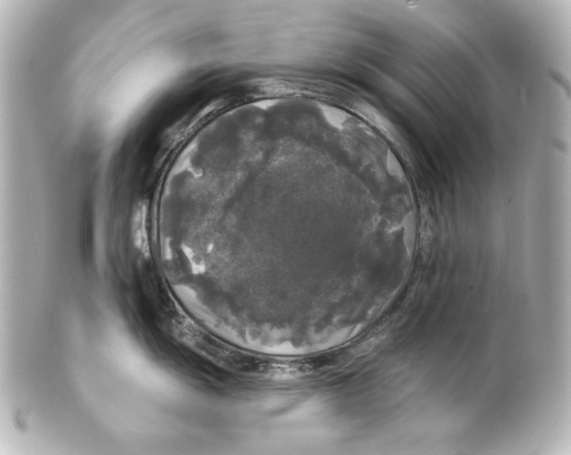 X0000101451055200808041014