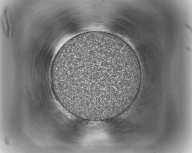 X0000101451056200808041014