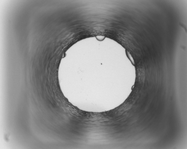 X0000101451057200808041013