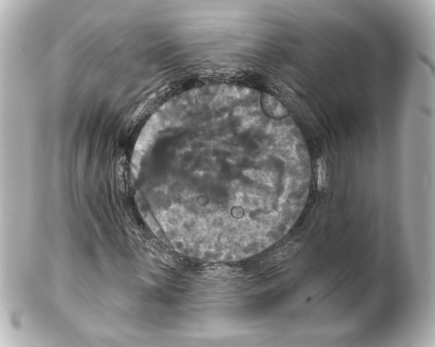 X0000101451059200808041013