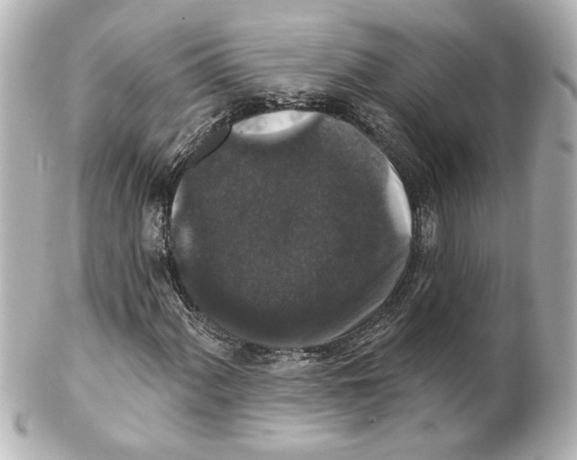 X0000101451060200808041013